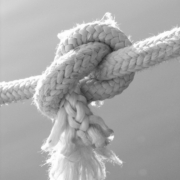 pexels-claudio-mota-105200226-9945961